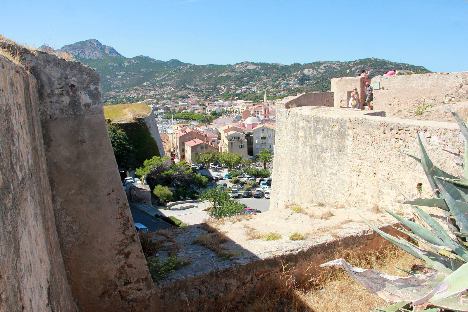 Calvi